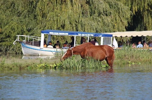 Photo 12 - Barco Casa Ollem