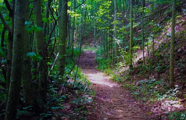 Papa Bear Path - Foto 30