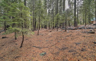 Photo 2 - Cozy Truckee Cabin w/ Sauna: 11 Mi to Sugar Bowl