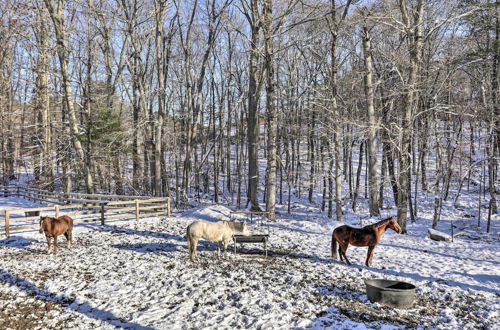 Photo 2 - Killingly Barnyard Studio in Wine Country