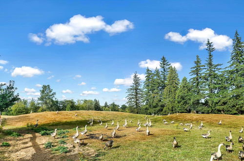 Photo 9 - Cozy Ferndale Studio on 20-acre Working Farm