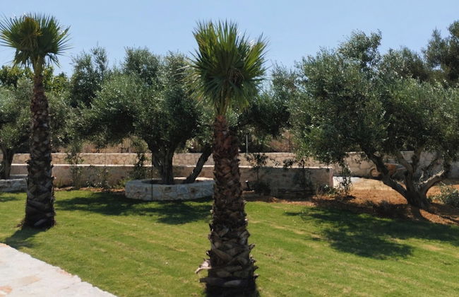 Oinolithos Luxury Villas - Foto 49