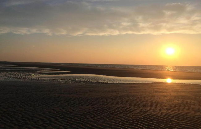 Studio in Domburg Near Beach and Nature Reserve - Foto 40