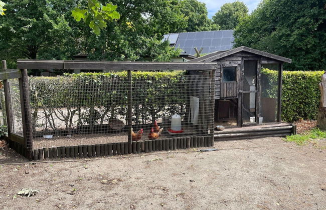 Uden Chalet With Scenic Terrace - Foto 26