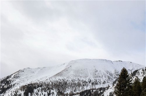 Foto 38 - Detached Chalet in Reichenau - Turracherhohe / Carinthia Near the ski Area