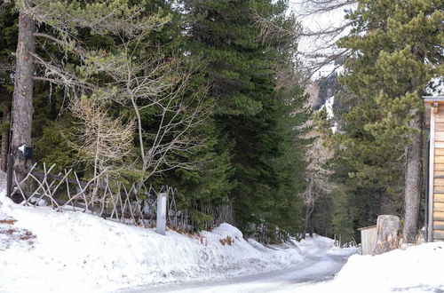 Photo 39 - Chalet Directly in the Turracher Hohe ski Area