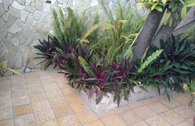 Villa "Doña Anita" Al Mejor Precio HOLGUIN - Foto 22