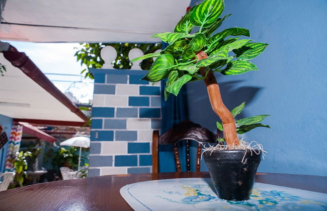 Delightful WIFI House 30m from the Beach - Foto 17