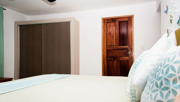 Holiday rental in Havana with swimming pool and garden - Photo 5