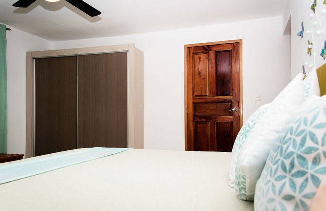 Holiday rental in Havana with swimming pool and garden - Foto 5