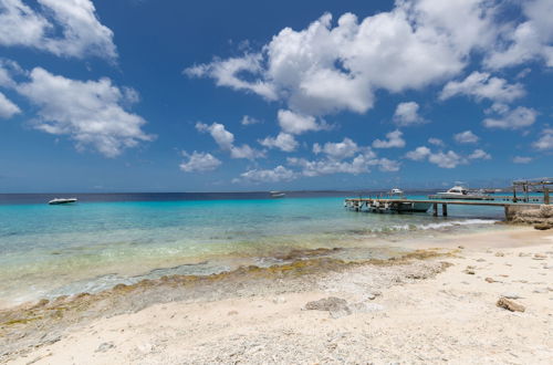 Photo 41 - Blachi Koko Apartments Bonaire