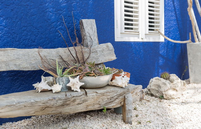 Blachi Koko Apartments Bonaire - Photo 40