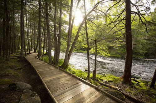 Photo 46 - Mersey River Chalets a nature retreat