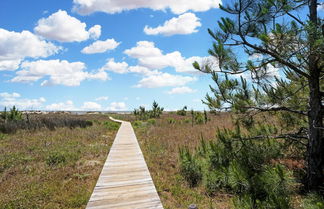 Foto 1 - Boardwalk Sandpiper