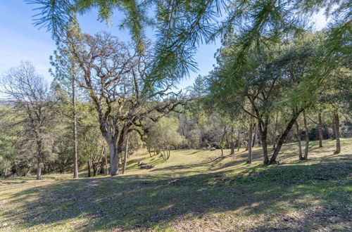 Photo 16 - Shuteye View Ranch