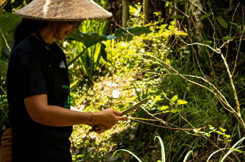 Photo 60 - Bali Jungle Camping