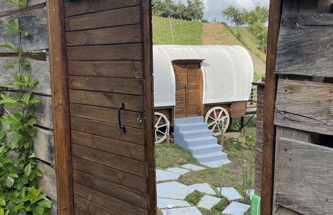 Glamping La Cepa GUATAPÉ - Foto 58