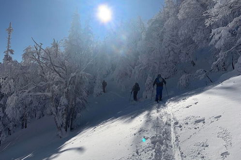 Photo 31 - Le Ski Shack