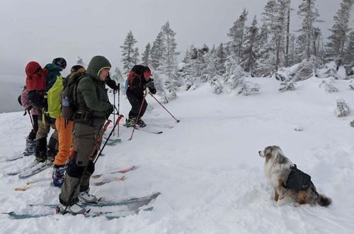 Photo 33 - Le Ski Shack