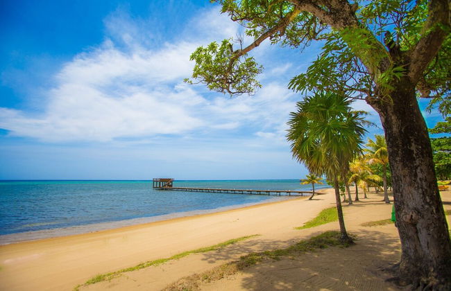 Lawson Rock - Angelfish 101 Studio Bedroom Condo by RedAwning - Photo 21