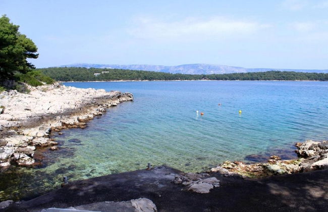 Dari - 120 m From sea - A1 - Photo 12