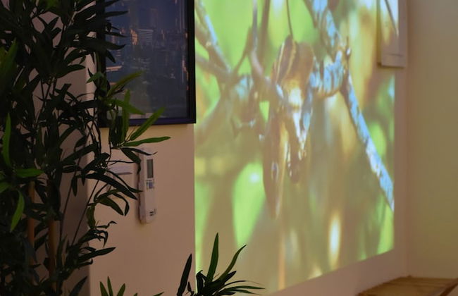 Susan's BNB - Foto 11