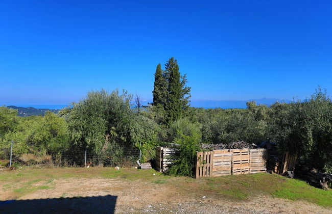 Villa Chrisdina in Nymfes - Photo 5