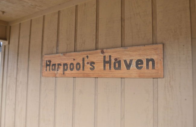 Echo Canyon Resort & Marina - Photo 39