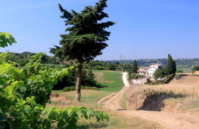 Trianon Country - Foto 50