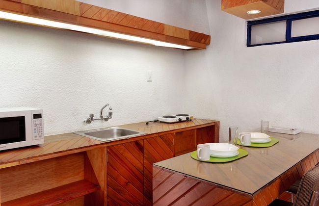 Departamentos Lomas SLP - Photo 26