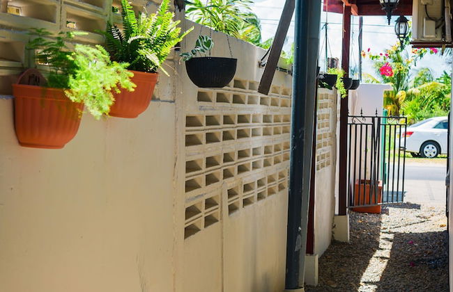 Colonial Wolf Oasis - Photo 65