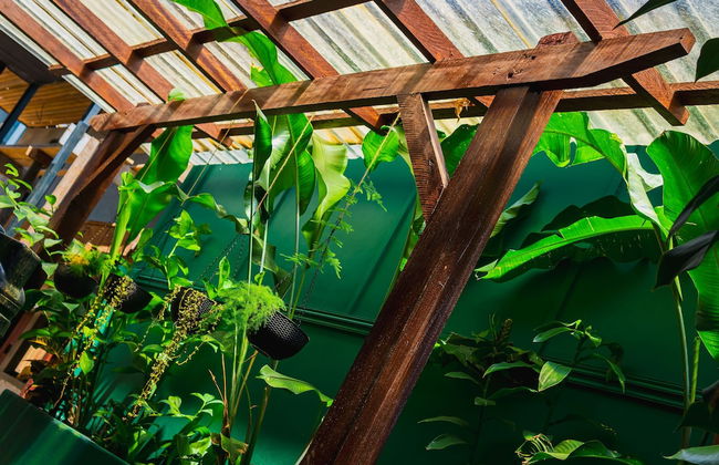 Colonial Wolf Oasis - Photo 66