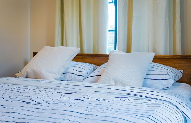 Colonial Wolf Oasis - Photo 14