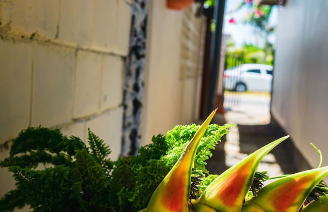 Colonial Wolf Oasis - Photo 68