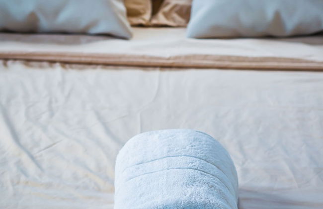 Colonial Wolf Oasis - Photo 12