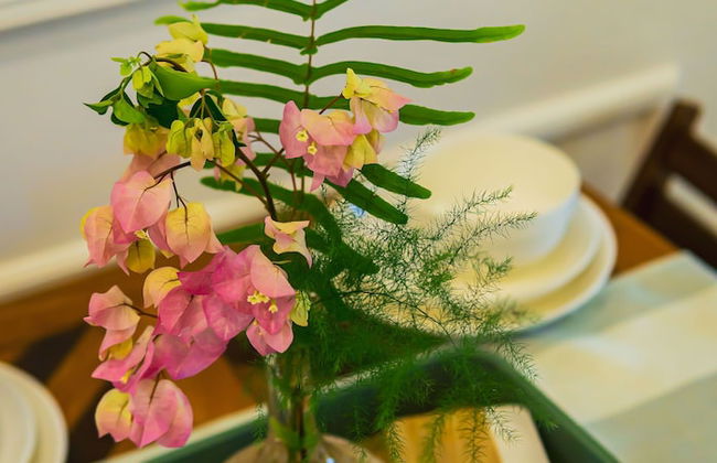 Colonial Wolf Oasis - Photo 19