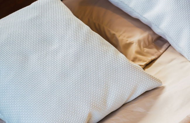 Colonial Wolf Oasis - Photo 3