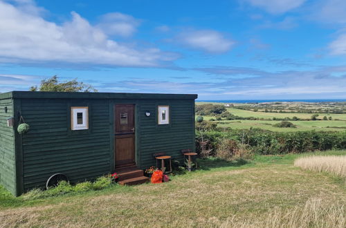 Foto 1 - Stunning 1-bed Shepherd hut in Holyhead