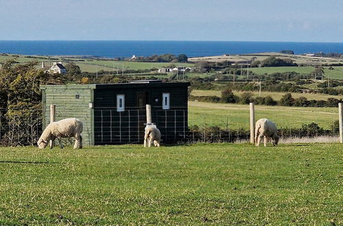 Foto 27 - Stunning 1-bed Shepherd hut