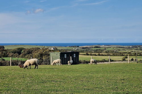 Foto 24 - Stunning 1-bed Shepherd hut in Holyhead