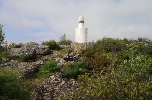 Foto 44 - Casa Adega - Quinta Amoreira