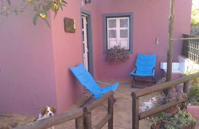 Casa Adega - Quinta Amoreira - Foto 32