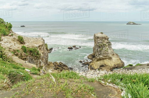 Foto 43 - Spectacular Hilltop Retreat near Piha