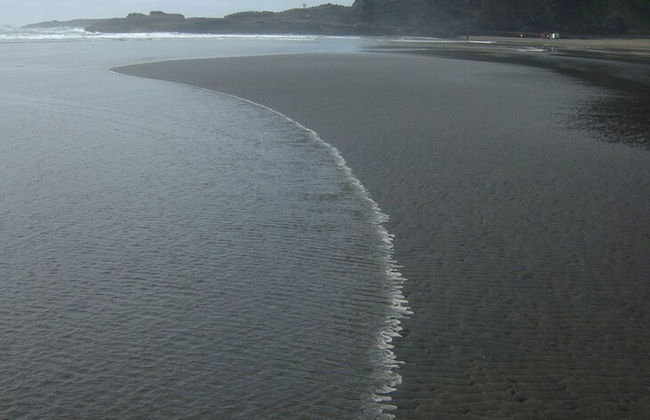 Spectacular Hilltop Retreat near Piha - Foto 42