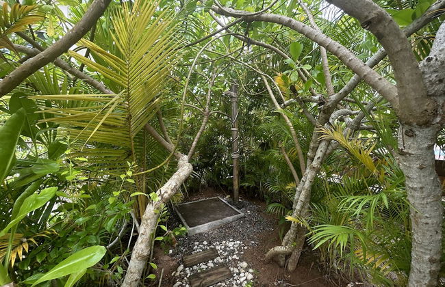 The Seaboards Apartments Seychelles - Foto 30