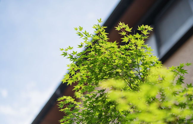 Beppu Rikyu - Foto 33