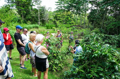 Photo 50 - Bagus Agro Pelaga