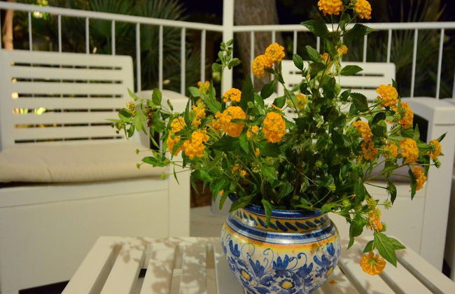 Cottage on the Beach - Foto 19