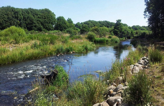 4 Person Holiday Home in Ansager - Photo 32