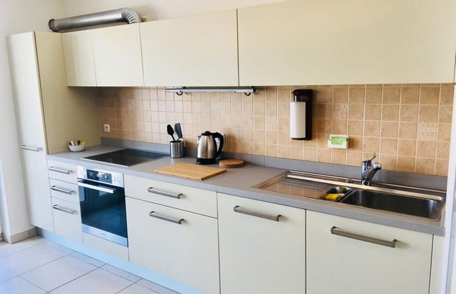 Large Art Deco Flat 100m2 in City Center - Parking - Foto 8
